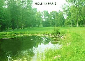 Hole13 par3